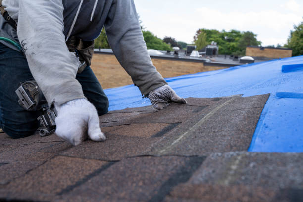Residential Roof Replacement in Tampa, FL
