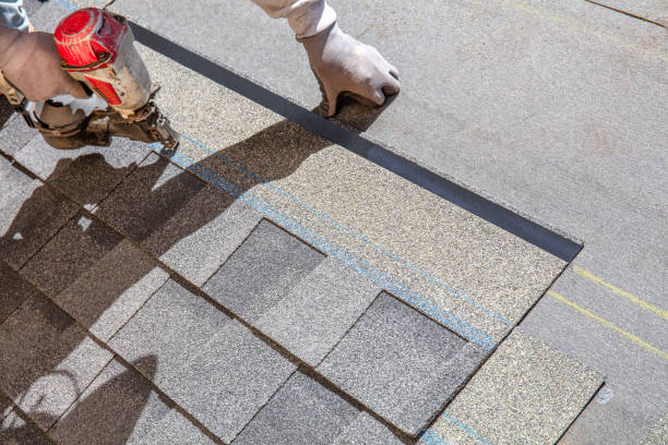 Quick and Trustworthy Emergency Roof Repair Services in Tampa, FL