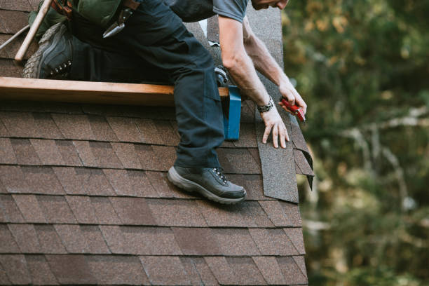 Roof Repair Estimates in Tampa, FL